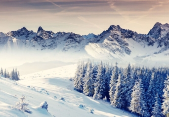 THOMAS MANN ÉS A HÓ