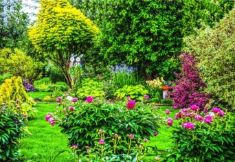 TONI MORRISON ÉS A KERT