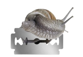 A SEMMI ÉS A VALAMENNYI