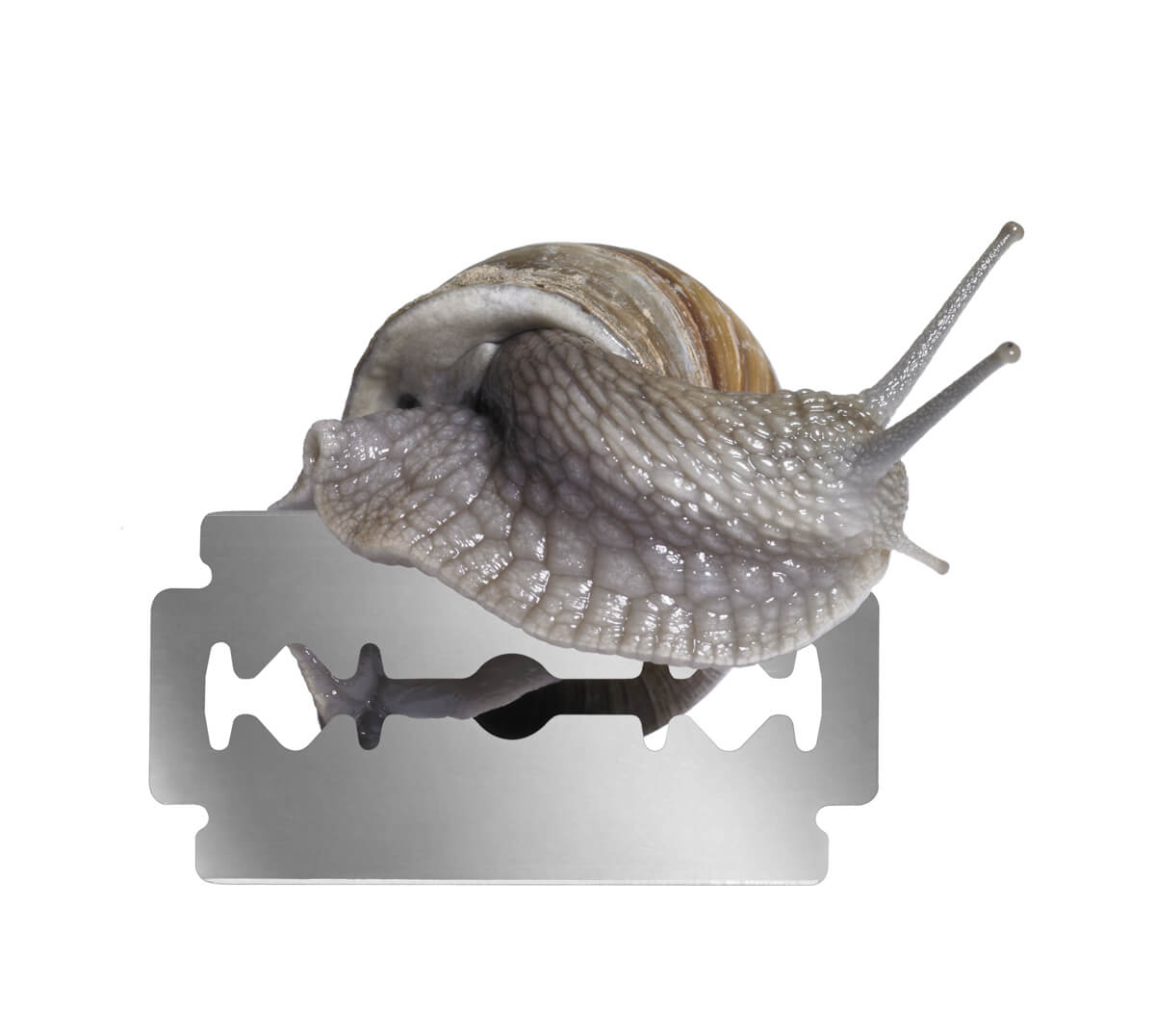 A SEMMI ÉS A VALAMENNYI