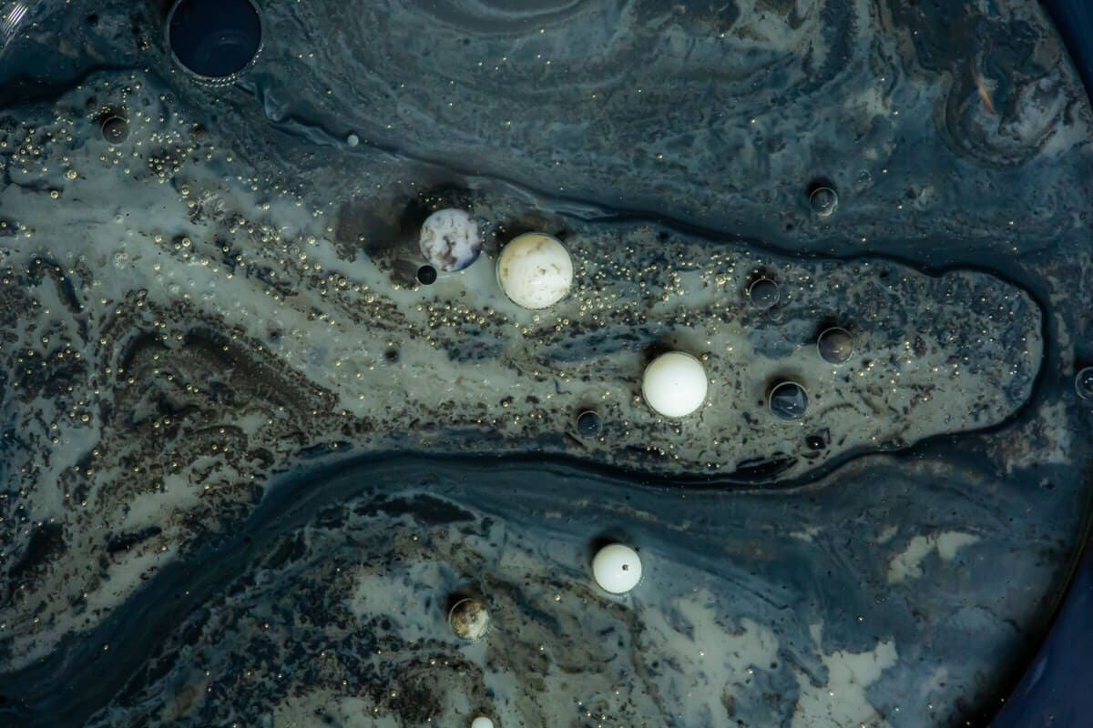 „SZÁLLÁST AKAR KÉRNI”