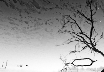 TEHÁT A STYXI JÁRAT