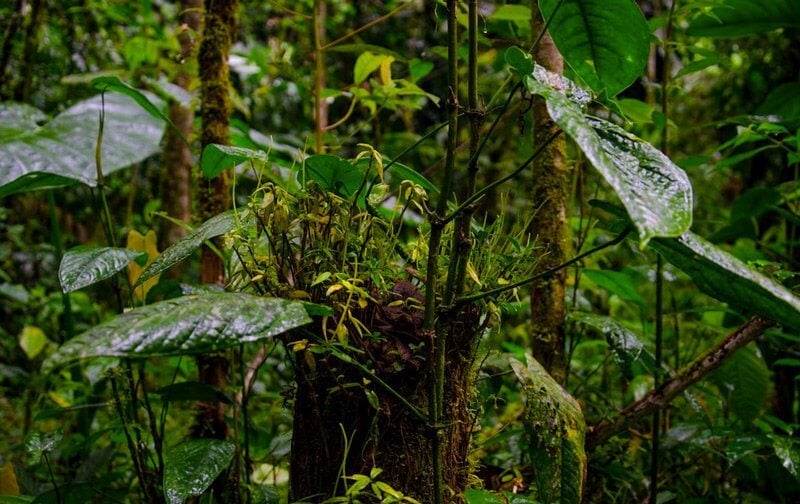 Bill Dickinson, flickr.com