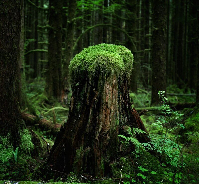 Greg Williams, flickr.com