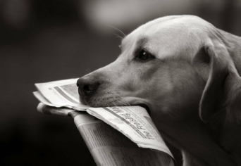 KERTI JELENET – ÉS EGY EMLÉK –