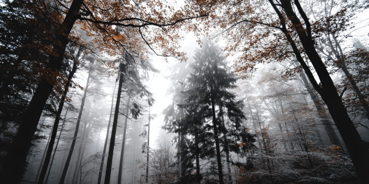 AMÍG NINCS KIMONDVA