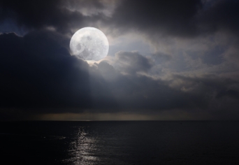 BAKA ISTVÁN VERSÉRŐL