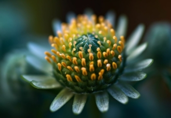 TERMÉSZET–EMBER–VÉDELEM