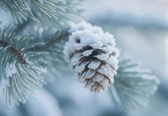 RÍMJÁTÉK A HÓBAN