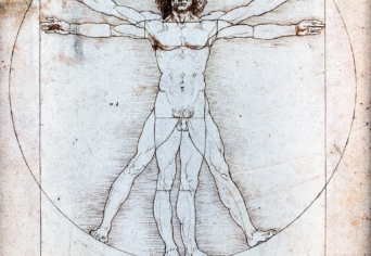 CSOKONAI VITÉZ MIHÁLY VERSÉRŐL