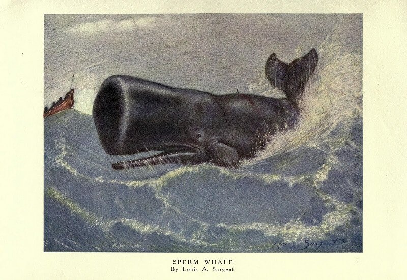 TERMÉSZET ÉS SZADIZMUS AZ IPARI FORRADALOM HAJNALÁN