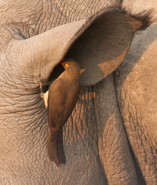 MIT MONDHATTAM AKKOR?