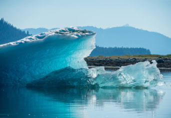 AZ ELLENÉRVEK ÉVADA