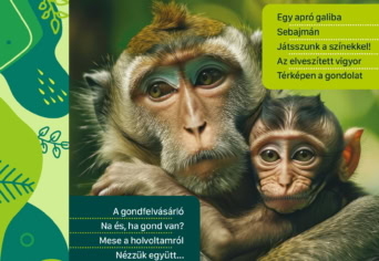 MEGJELENT A TAVASZI SZITAKÖTŐ