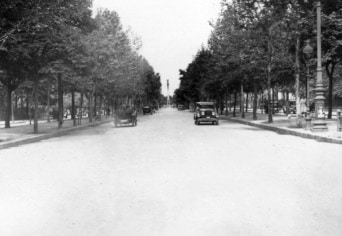 ELHAGYTAK BENNÜNKET AZ ANDRÁSSY ÚTI PLATÁNOK