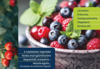 MEGJELENT A NYÁRI SZITAKÖTŐ