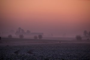 ADALÉKOK A HAJNAL VILÁGTÖRTÉNETÉHEZ