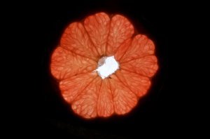 AZ ÜRES GRAPEFRUIT