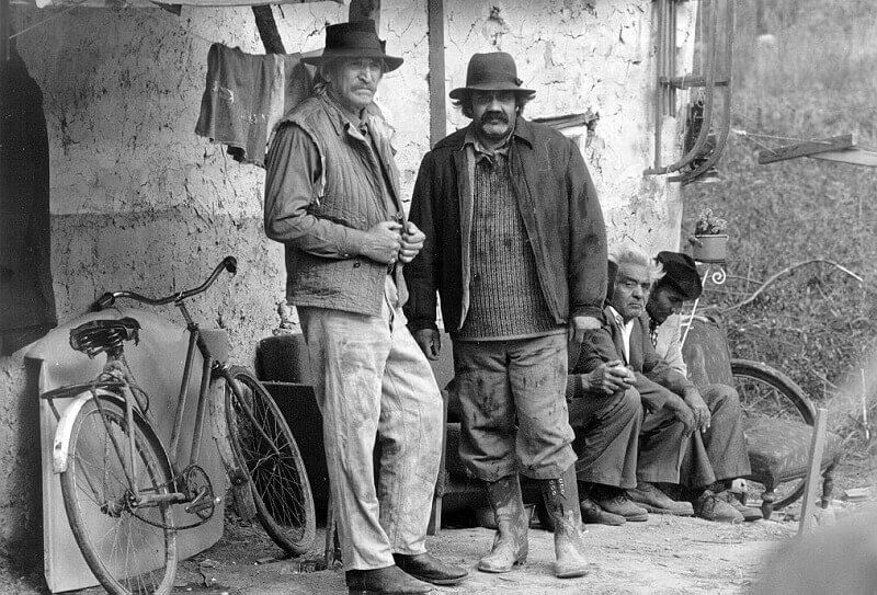 ROMÁK AZ „ELÁTKOZOTT HÁZBAN” 10 Gyöngyössy Bence: Romani kris / Cigánytörvény, filmkultura.hu