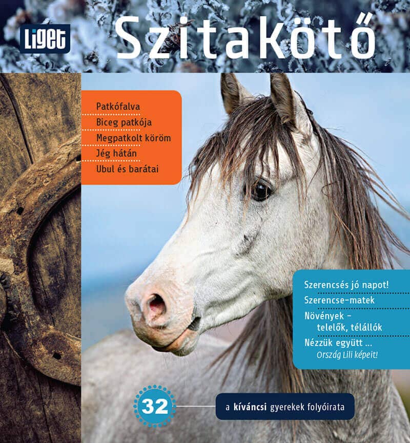A téli Szitakötő tartalma 1 A téli Szitakötő tartalma