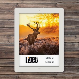 LIGET FOLYÓIRAT | 2017 FEBRUÁR