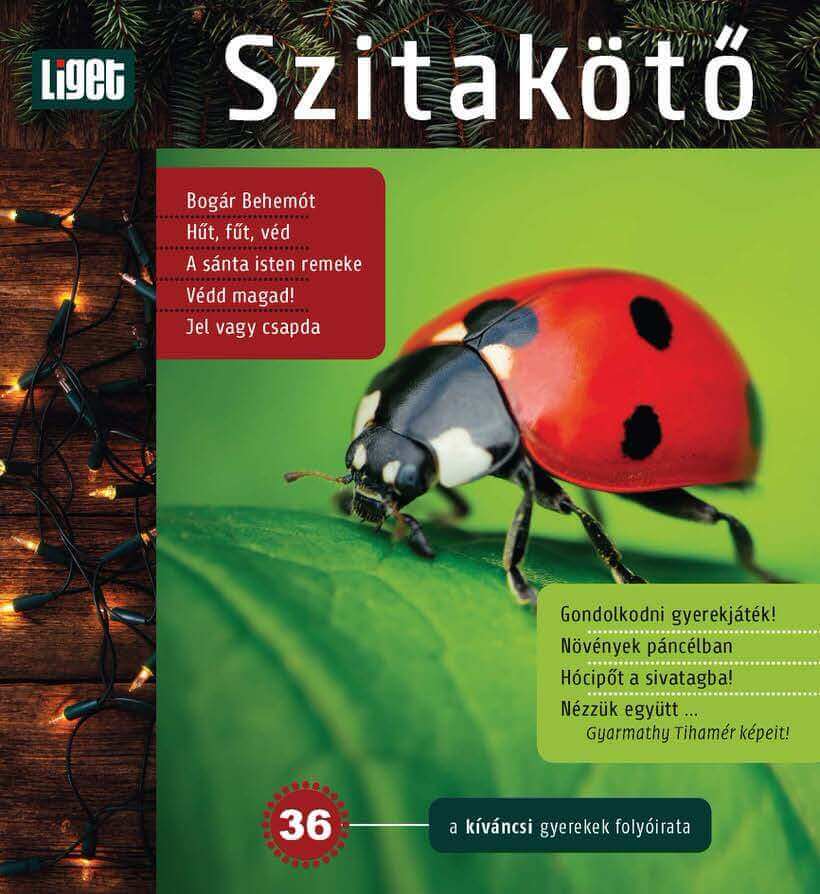 A téli szám tartalma 1 A téli szám tartalma