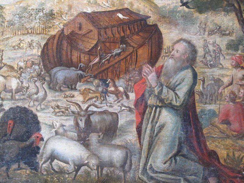 GLOBÁLIS BÁRKA 3 flamandnoah