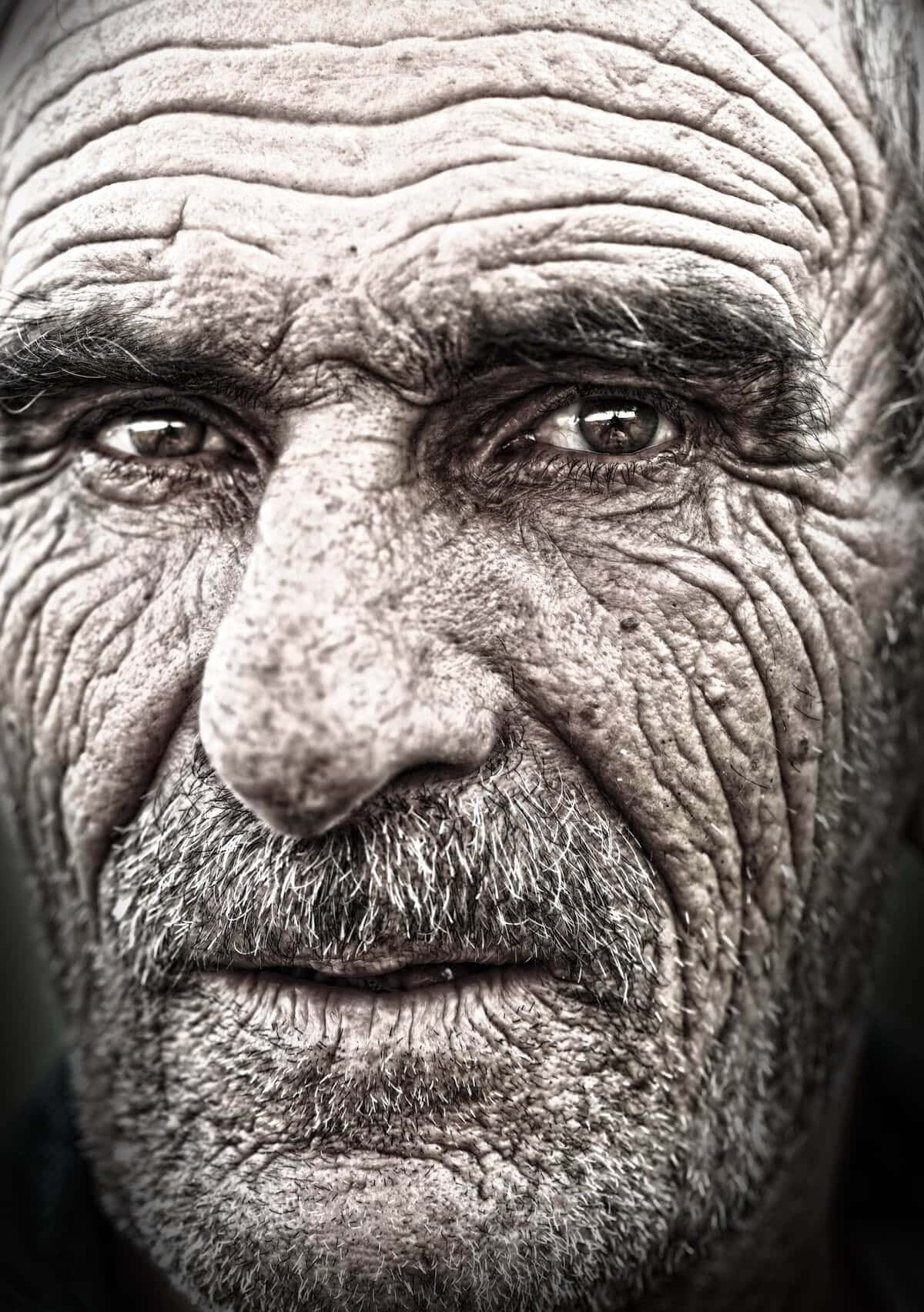 shutterstock 67085818