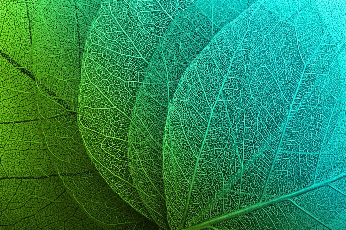 shutterstock 189835769