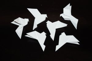 GALAMBOK