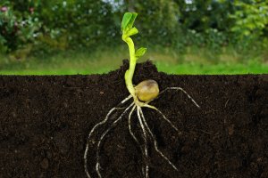 ALKOTÓI PÁLYÁZAT: A FÖLD ALATT