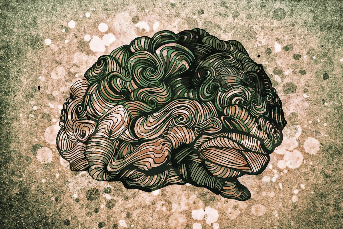 brainbalassa2