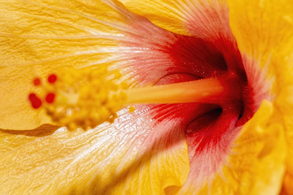 adobestock 357819841