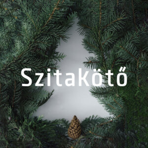 SZITAKÖTŐT KARÁCSONYRA