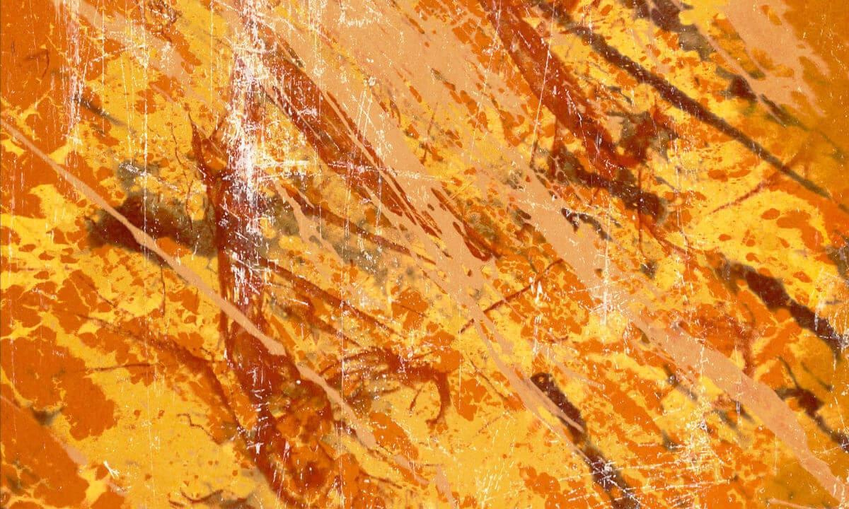 shutterstock 1029578125
