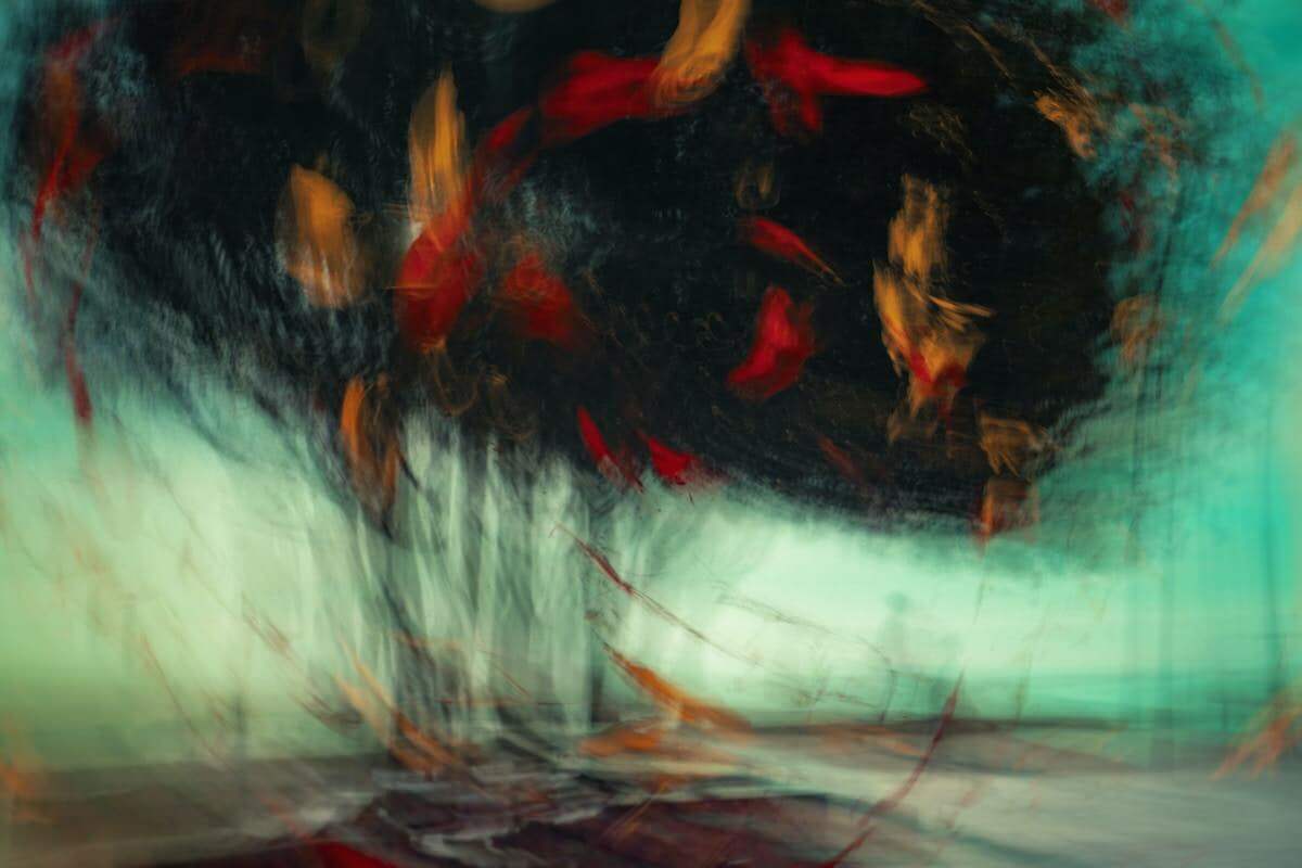 jr korpa 5qxqskhgqae unsplash