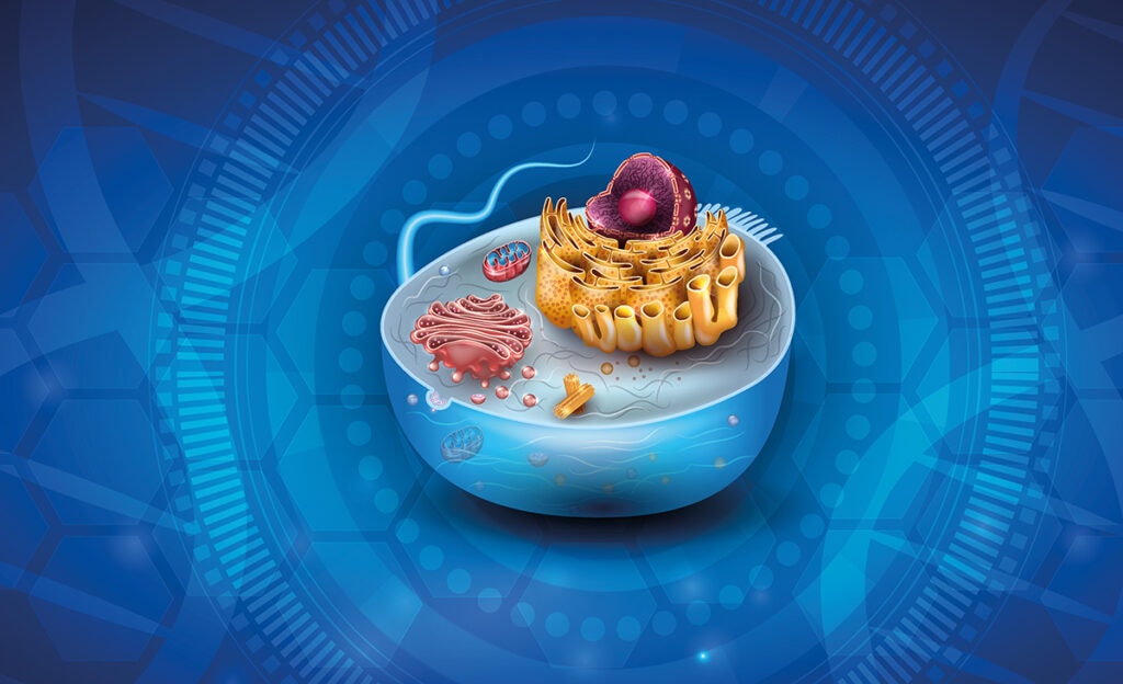 A MAJDNEM MINDENT TUDÓ SEJTMAGOK