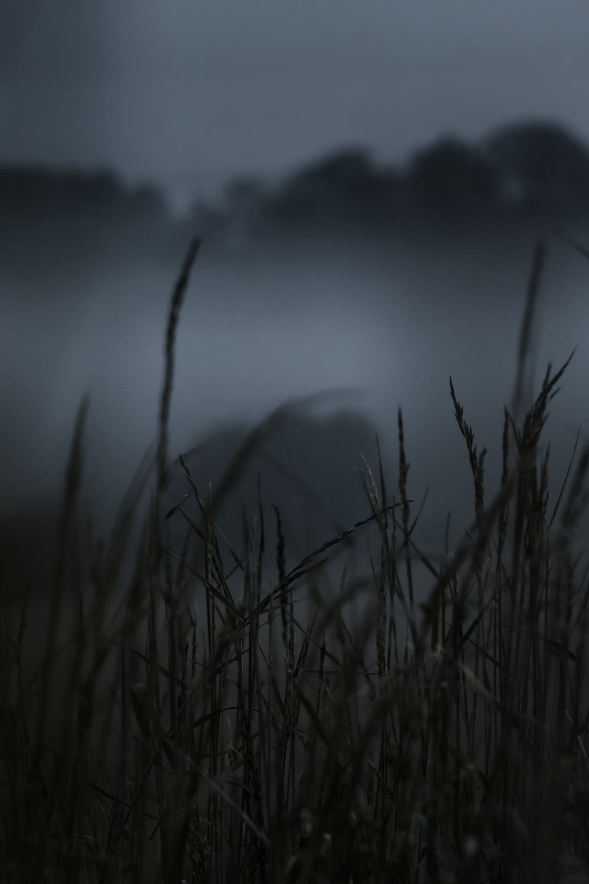 kevin mueller o4s9ll3wzaq unsplash