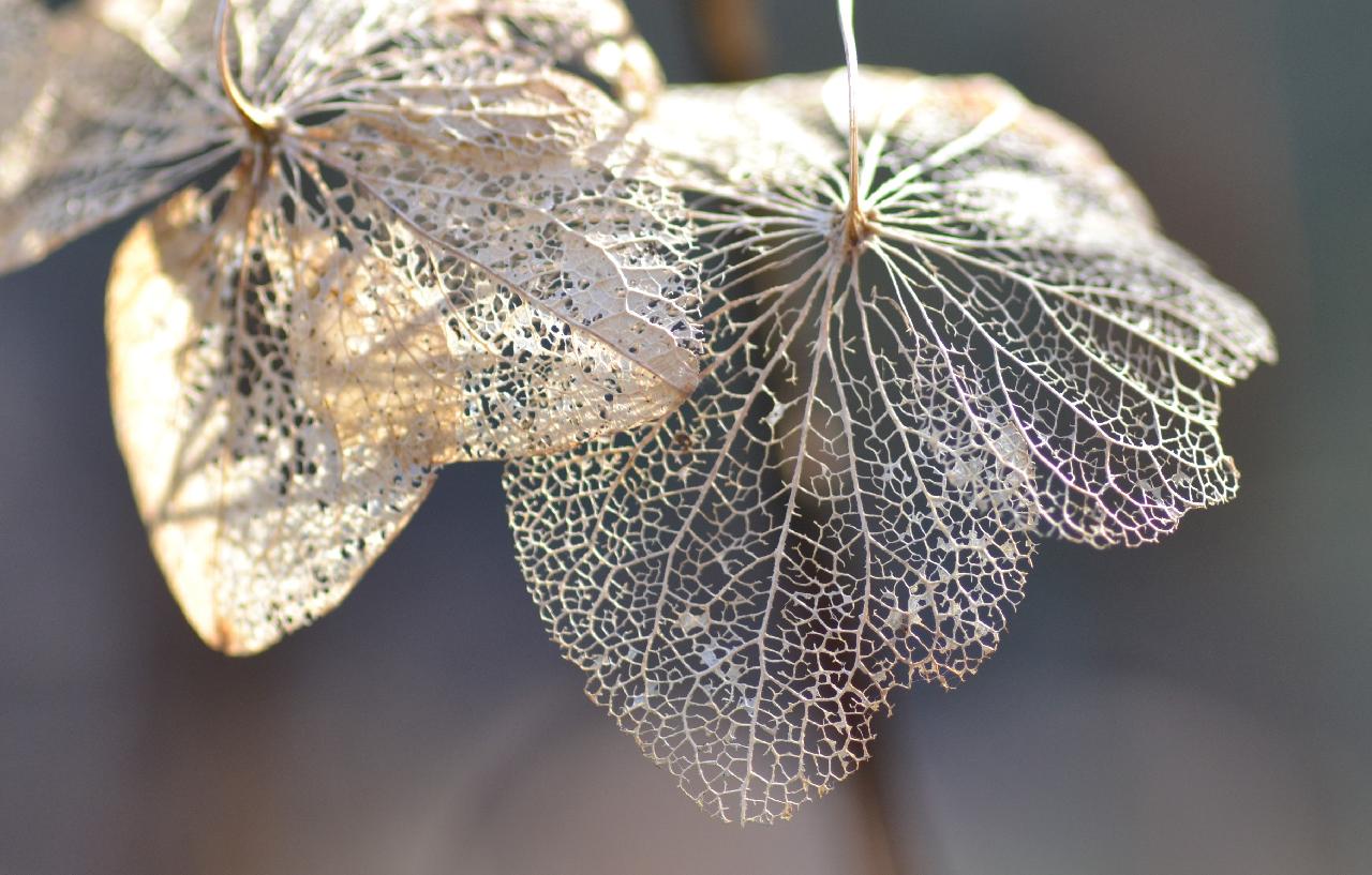 jumpstory download20210728 120624