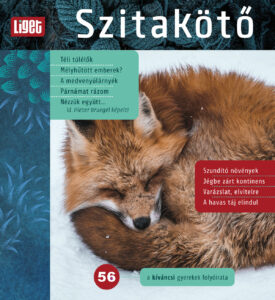 MEGJELENT A TÉLI SZITAKÖTŐ