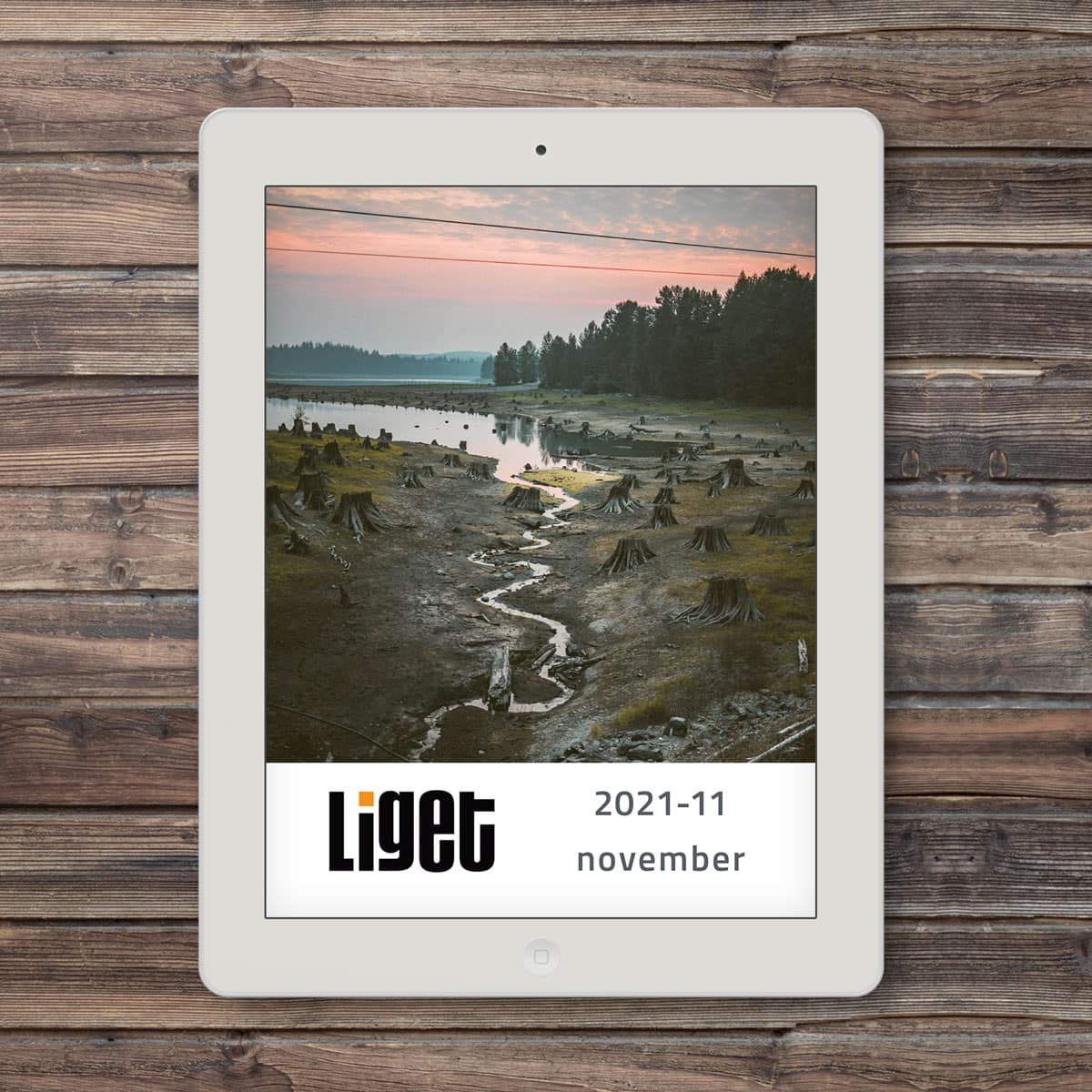 LIGET FOLYÓIRAT | 2021 november 1 LIGET FOLYÓIRAT | 2021 november