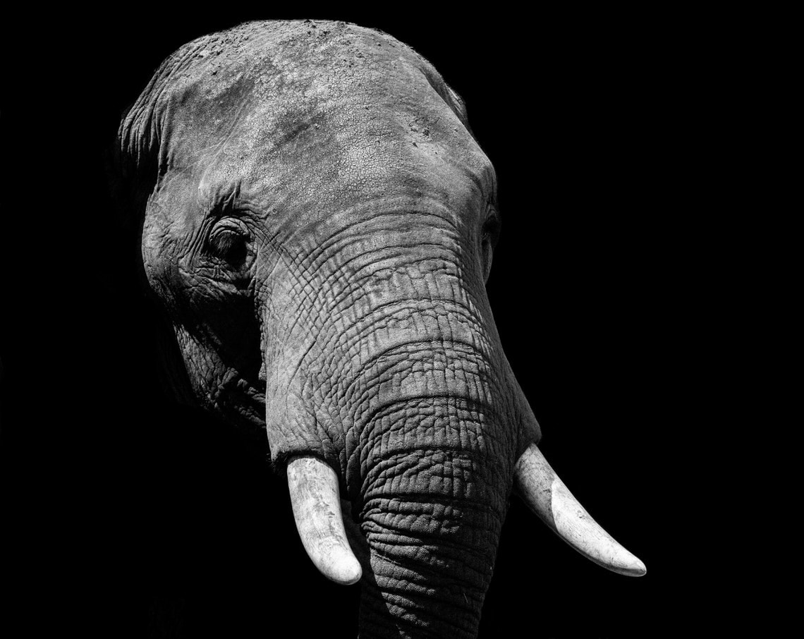 james hammond fnvyos3w0ay unsplash