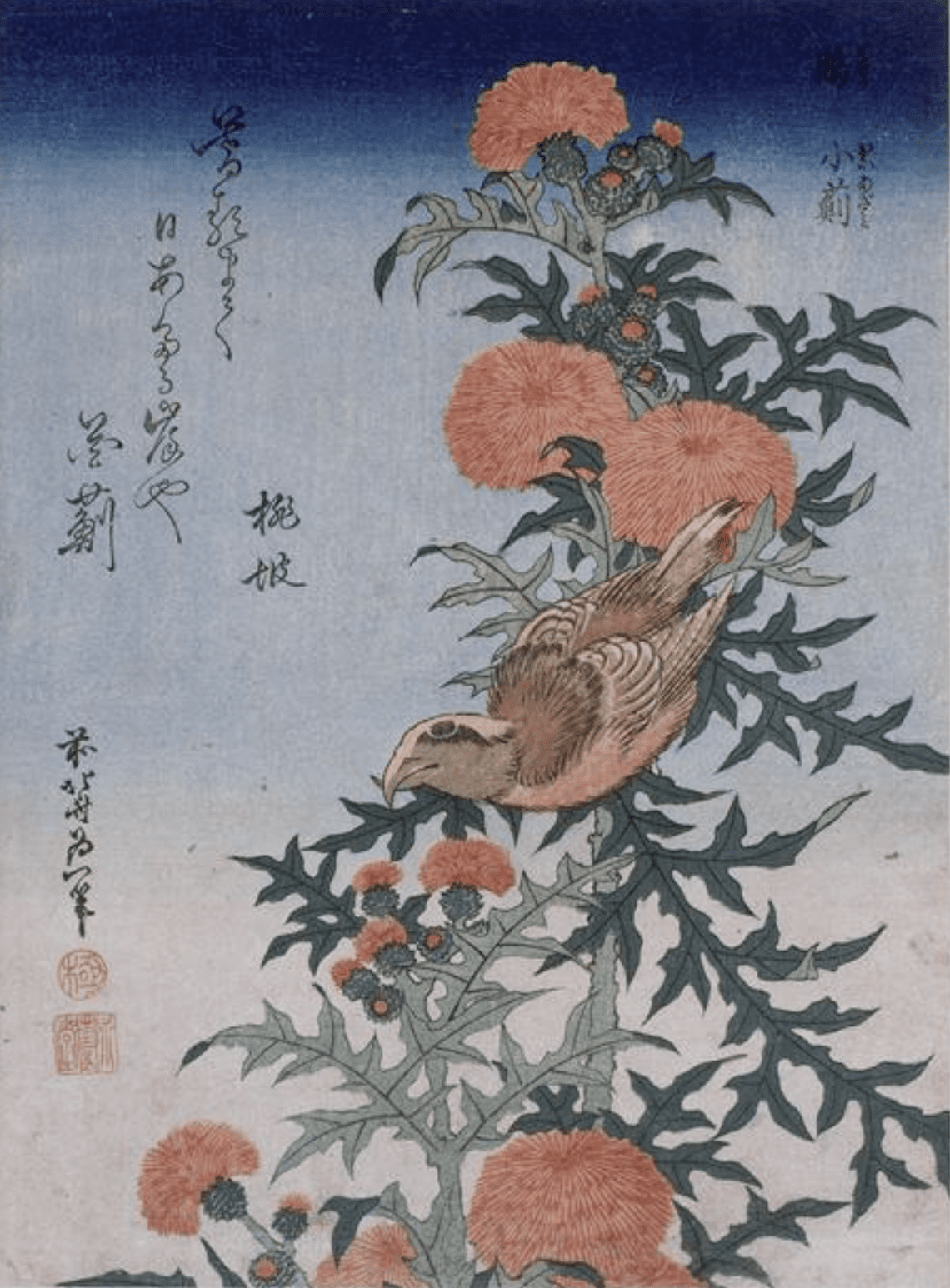 fam11 0424