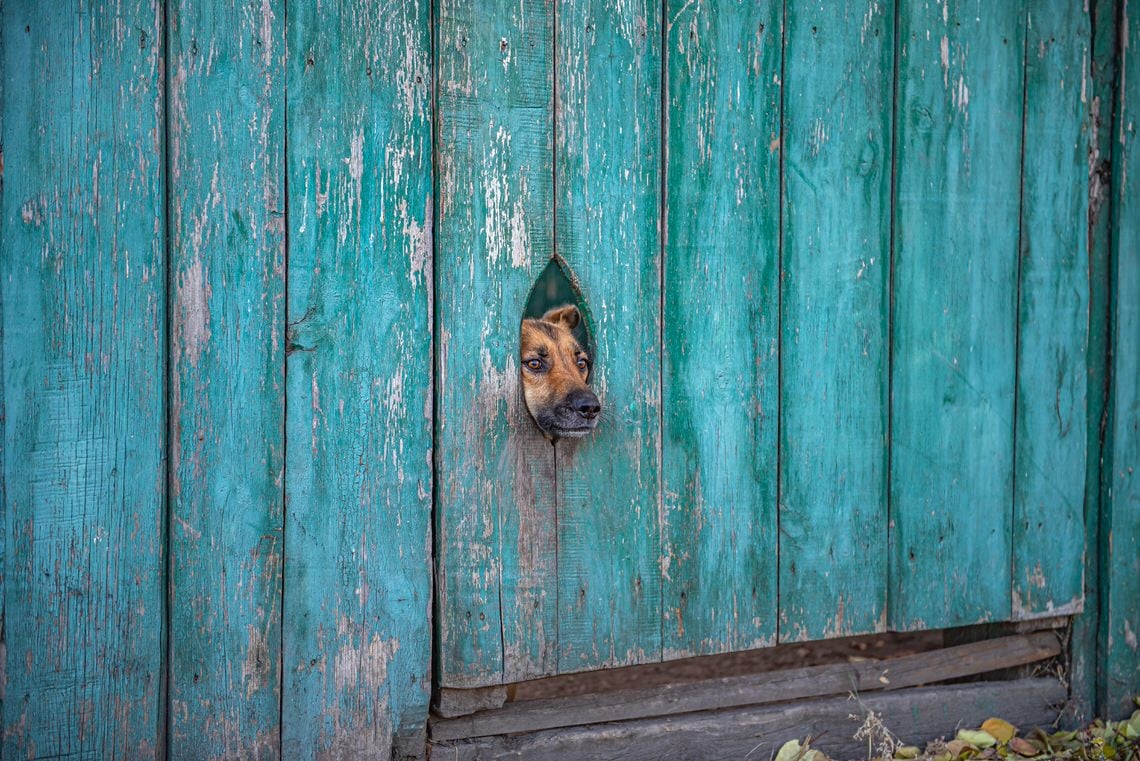 AZ ELHALLGATTATOTT EB