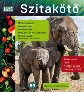 MEGJELENT AZ ŐSZI SZITAKÖTŐ