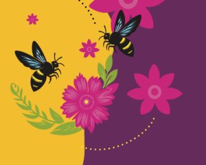 A SZAPORODÁS SZERVE