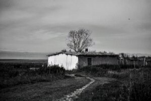 ÚTIRAJZ – NÉGY TÉTELBEN