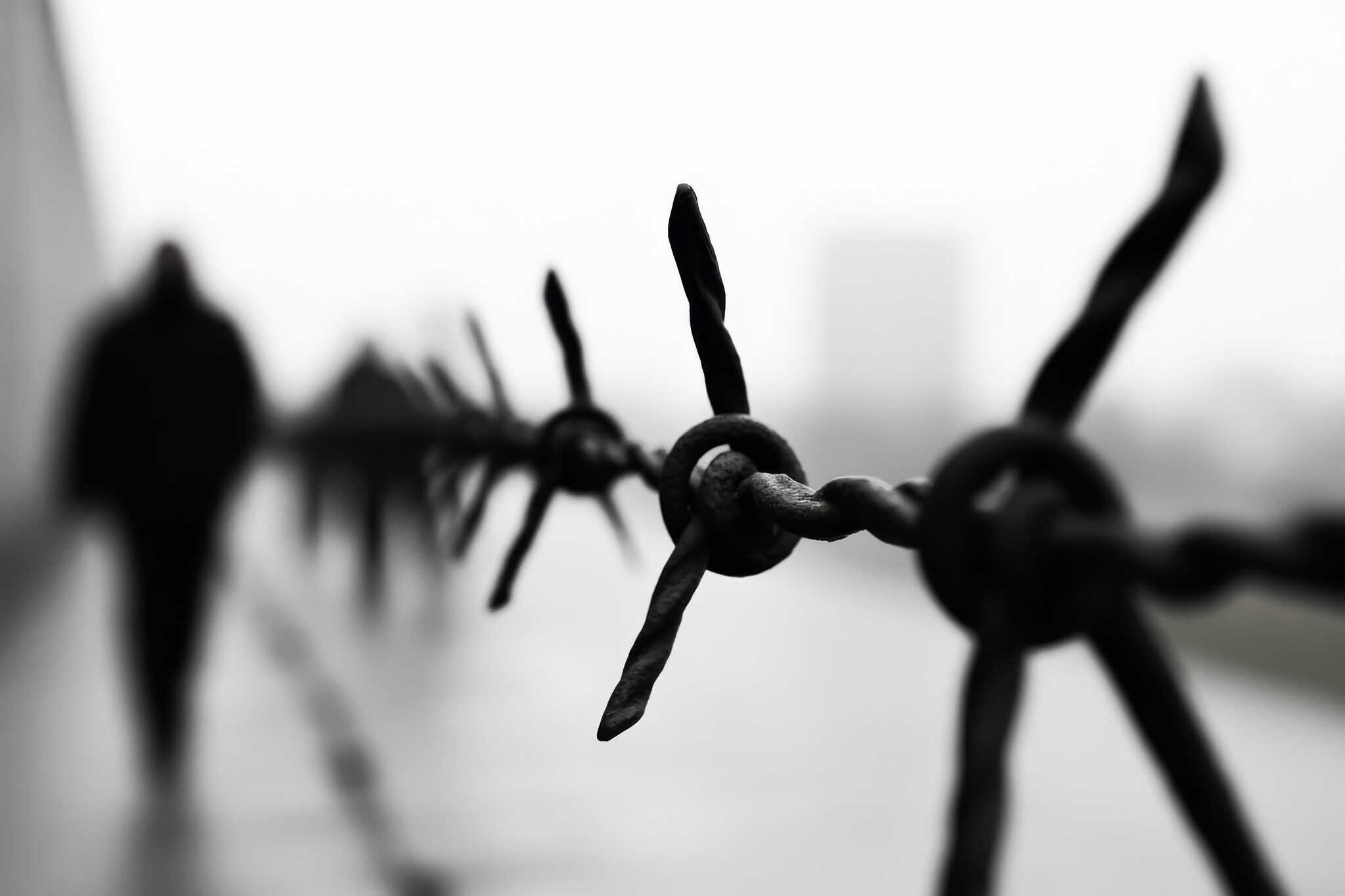 vecteezy barbed wire fence along a desolate path with shadowy figures 55416736