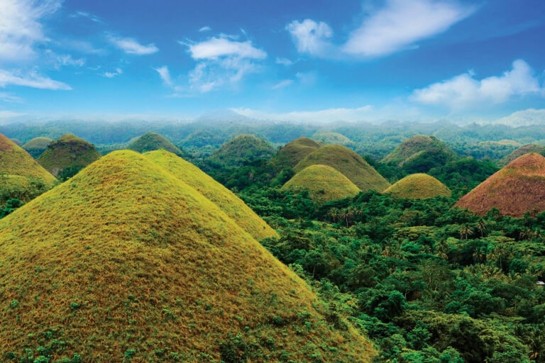 BEHEMÓTOK KÉZJEGYEI