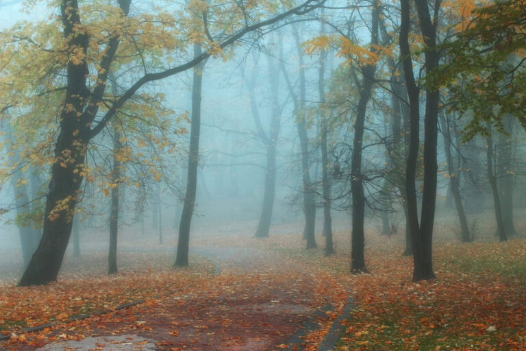 HAJNAL ANNA VERSÉRŐL